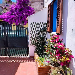 Nel Cortile Della Casa Di Carta, Due Singole Unita , Torpè Italia